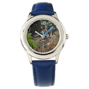 Reloj De Pulsera Dos portaobjetos de dragón de barba australiana,