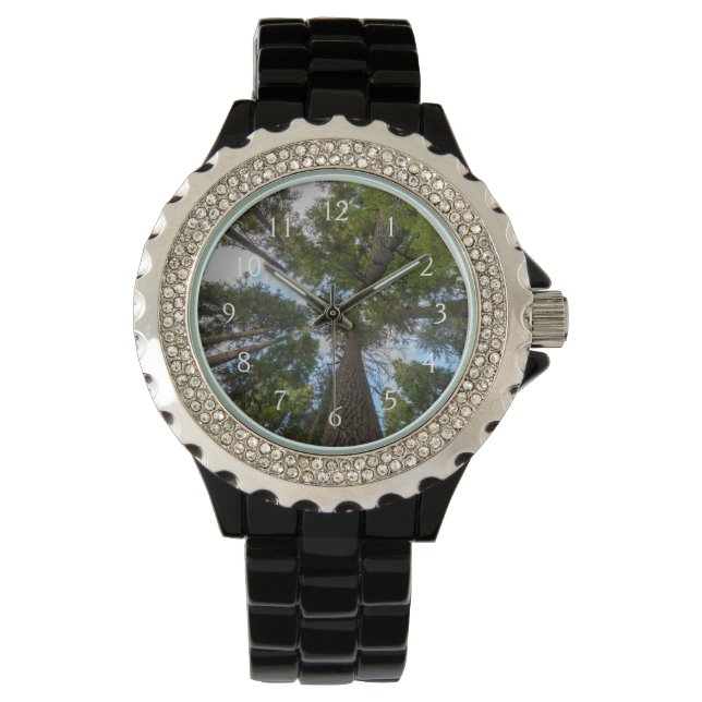 Reloj De Pulsera dosel de abeto de Douglas (Anverso)