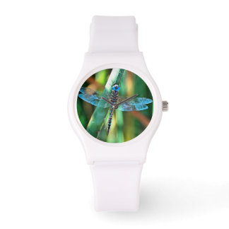 Reloj De Pulsera Dragonfly de fantasía en turquesa y negro
