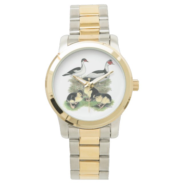 Reloj De Pulsera Ducks Black Pied Muscovy Family (Anverso)