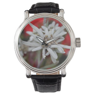 Reloj De Pulsera Edelweiss Leontopodium nivale
