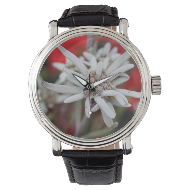 Reloj De Pulsera Edelweiss Leontopodium nivale (Anverso)