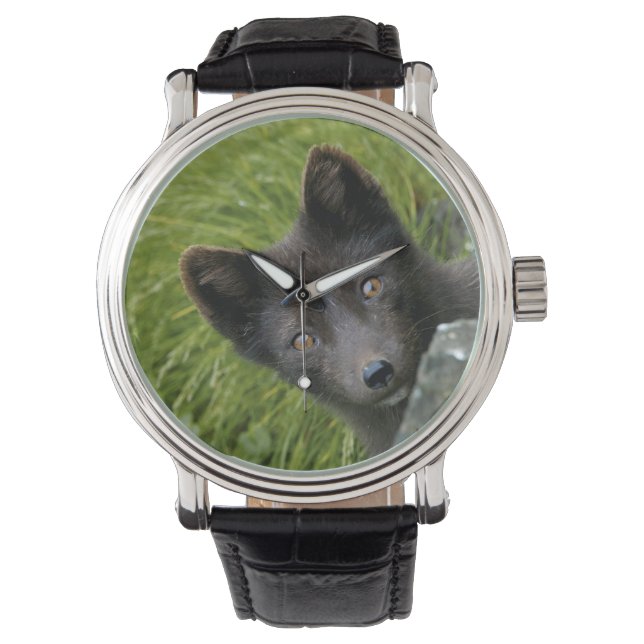 Reloj De Pulsera EE. UU., Alaska, Islas Pribilof, St Paul. Azul (Anverso)