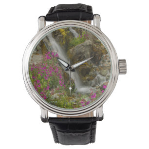 Reloj De Pulsera EE. UU., Alaska, Parque Nacional Glacier Bay. Fire