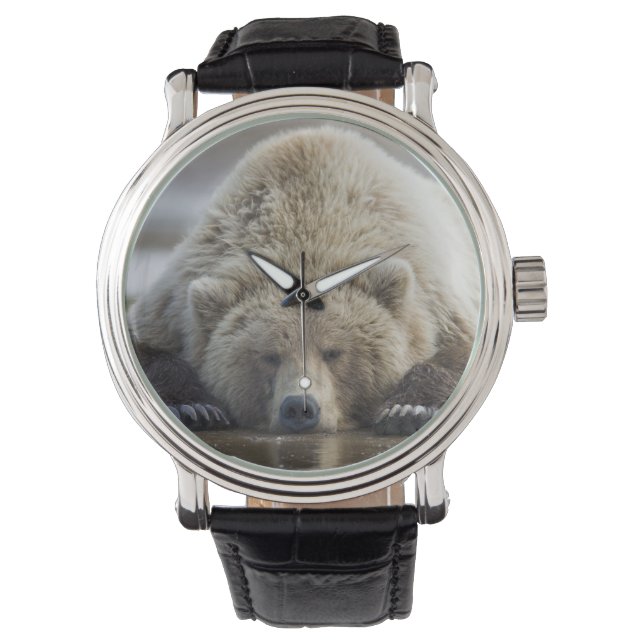 Reloj De Pulsera EE.UU., Alaska, Parque Nacional Katmai, oso marrón (Anverso)