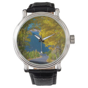 Reloj De Pulsera EE. UU., Colorado. Carretera flanqueada por álamos