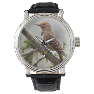 Reloj De Pulsera EE. UU., Estado de Washington. Macho de Carpintero
