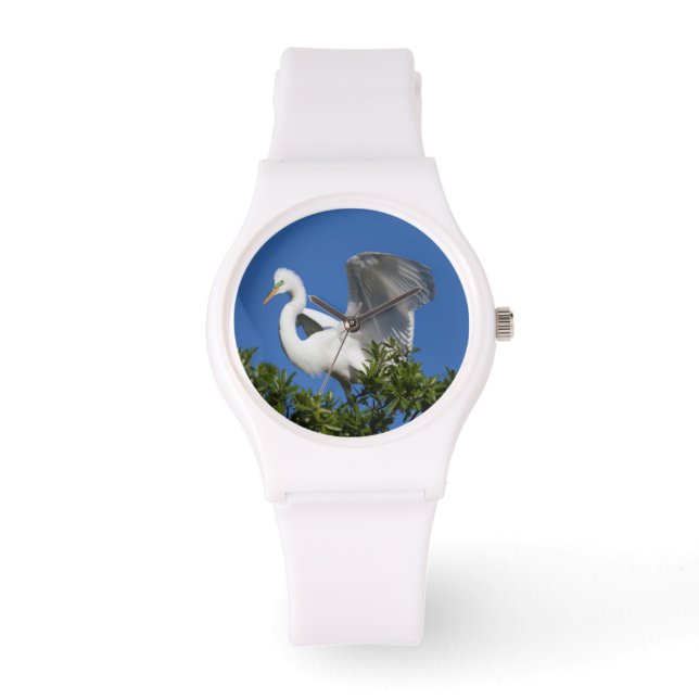 Reloj De Pulsera EE.UU., Florida, St. Augustine, Egret (Anverso)