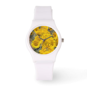 Reloj De Pulsera EE. UU., Kansas. Girasoles (Helianthus Annuus)