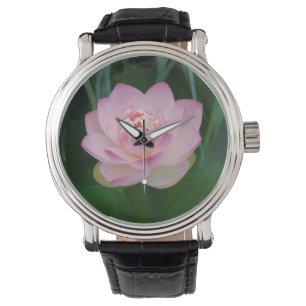 Reloj De Pulsera EE. UU., Kansas, Nenúfar de agua rosa