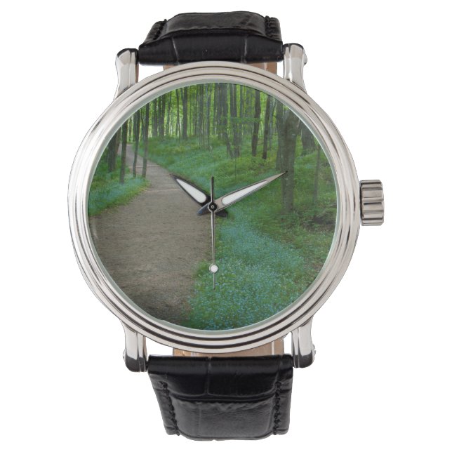 Reloj De Pulsera EE. UU., Michigan. Sendero Miner's Falls (Anverso)