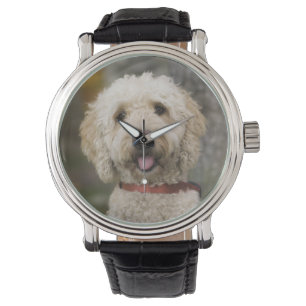 Reloj De Pulsera EE. UU., Nueva Inglaterra, Massachusetts, Reading,
