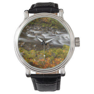 Reloj De Pulsera EE. UU., Oregón, desfiladero del río Columbia, Tan