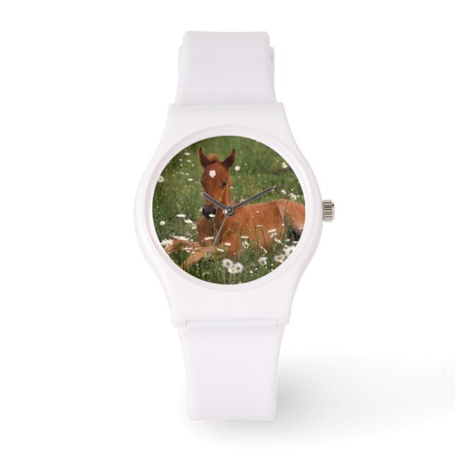 Reloj De Pulsera EE. UU., Oregón, Poni Árabe. (Anverso)