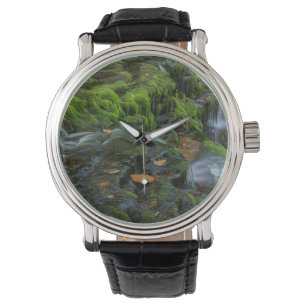 Reloj De Pulsera EE. UU., Pensilvania, Benton, Parque Estatal Ricke