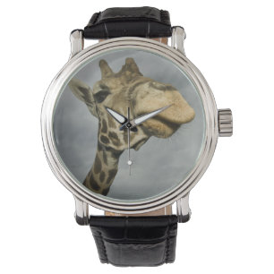 Reloj De Pulsera EE. UU., Texas, área silvestre Fossil Rim, jirafa