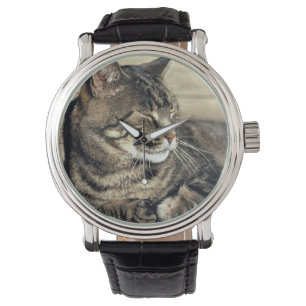 Reloj De Pulsera EE.UU., Utah, Capitol Reef NP. Gato de tabú dormid