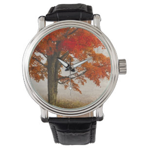 Reloj De Pulsera EE. UU., Virginia Occidental, Davis. Arce rojo en