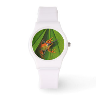 Reloj De Pulsera EE.UU., Washington, Seattle, Discovery Park 2