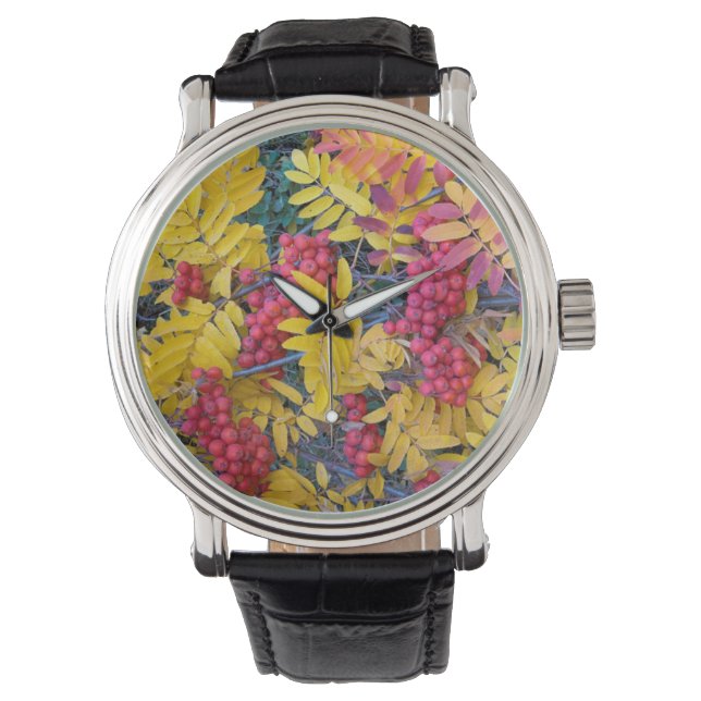 Reloj De Pulsera EE. UU., Washington, Serbal de Sitka, Okanogan (Anverso)