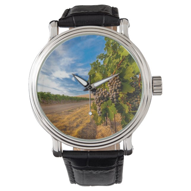 Reloj De Pulsera EE. UU., Washington, Valle de Yakima. Uvas Merlot (Anverso)