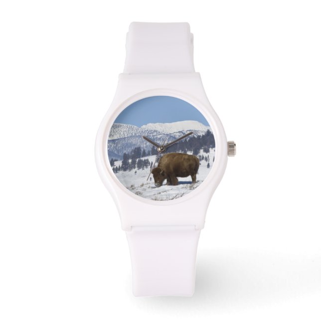 Reloj De Pulsera EE. UU., WY, Parque Nacional Yellowstone, Bisonte  (Anverso)
