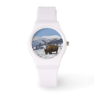 Reloj De Pulsera EE.UU., WY, Yellowstone NP, American Bison Bison