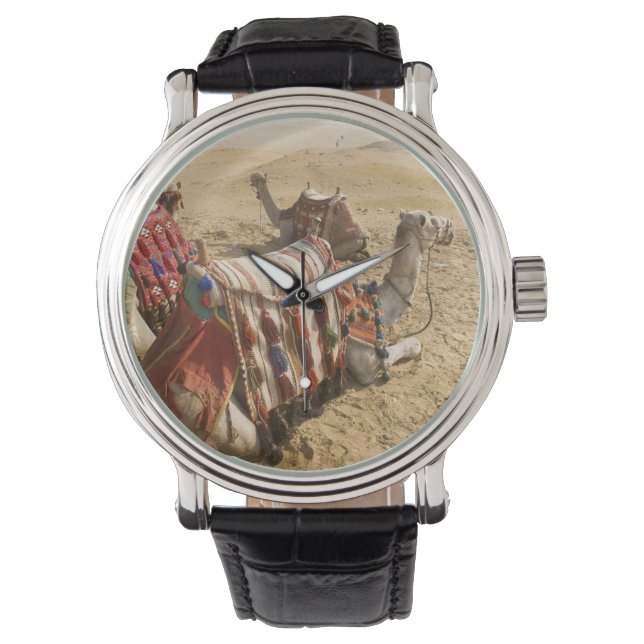Reloj De Pulsera Egipto, El Cairo. Camellos descansando (Anverso)