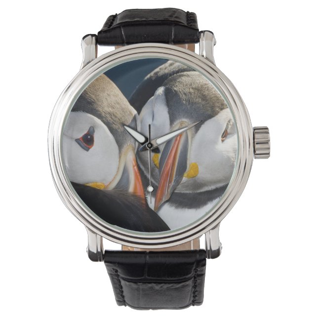 Reloj De Pulsera El atlántico Puffin, un ave marina pelágica (Anverso)