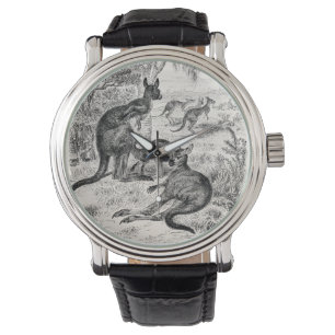 Reloj De Pulsera El canguro australiano vintage de los años 1800