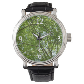 Reloj De Pulsera El dosel de la primavera deja la naturaleza verde