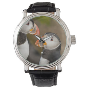 Reloj De Pulsera El frailecillo atlántico
