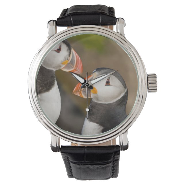 Reloj De Pulsera El frailecillo atlántico (Anverso)