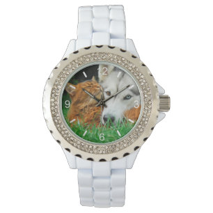 Reloj De Pulsera El gato somalí siberiano Husky amigo adorable