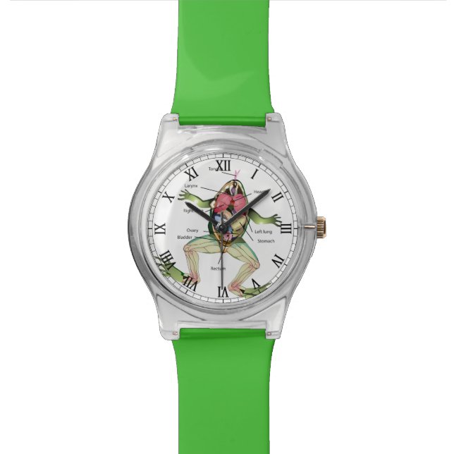Reloj De Pulsera El ilustracion de la anatomía de la rana (De cerca)