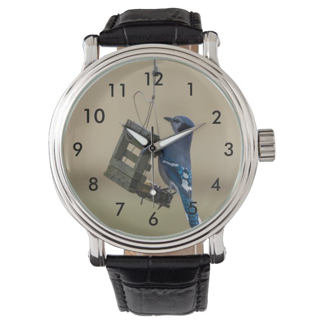 Reloj De Pulsera El Jay azul giratorio (Anverso)
