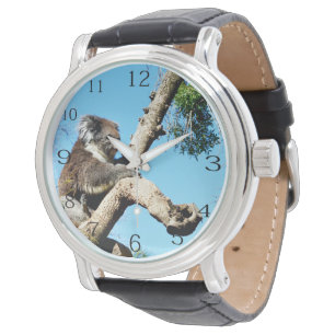 Reloj De Pulsera El Oso De Koala En El Viejo Árbol De Pino,