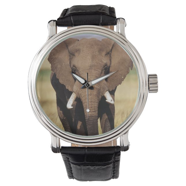 Reloj De Pulsera Elefante africano de sabana (Anverso)