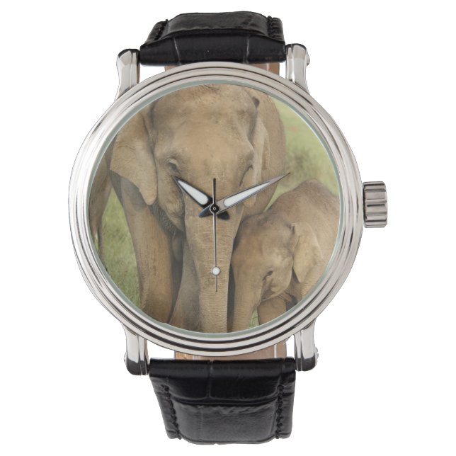 Reloj De Pulsera Elefante indio/asiático y joven, Corbett (Anverso)