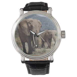 Reloj De Pulsera Elefante madre caminando con ternera elefante