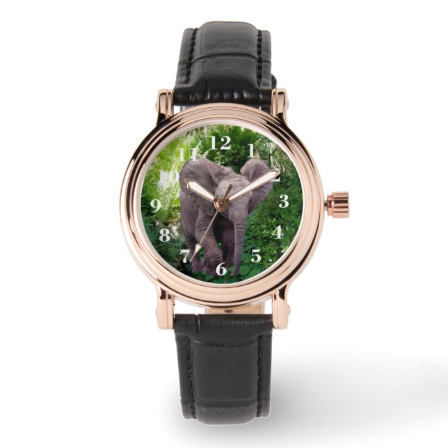Reloj De Pulsera Elefante y jungla (Anverso)