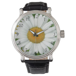 Reloj De Pulsera Elegantes margaritas florales blancas