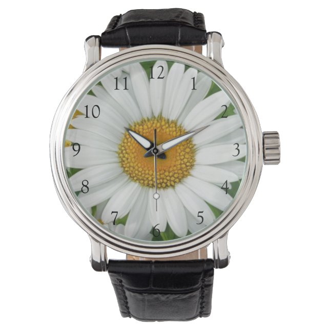 Reloj De Pulsera Elegantes margaritas florales blancas (Anverso)