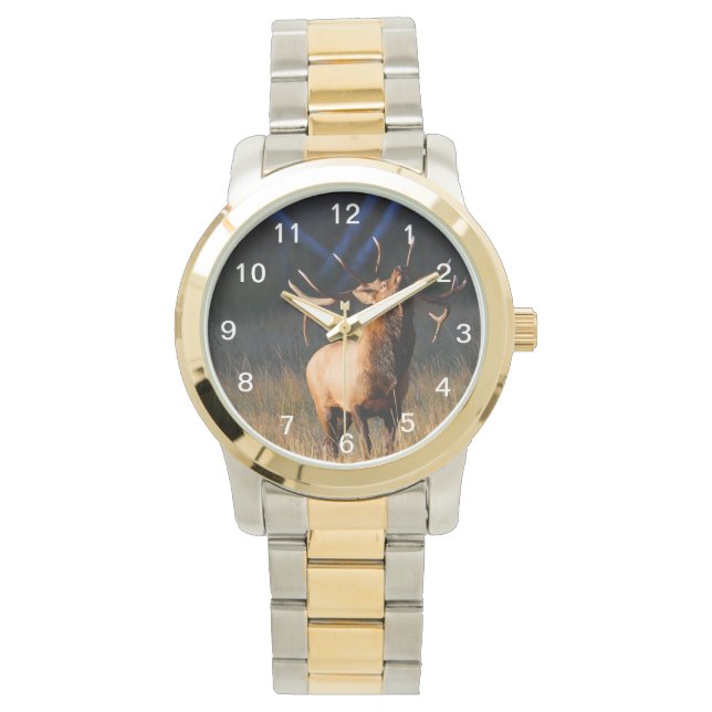 Reloj De Pulsera Elk (Anverso)