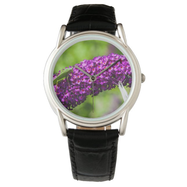 Reloj De Pulsera energía katydid (Anverso)