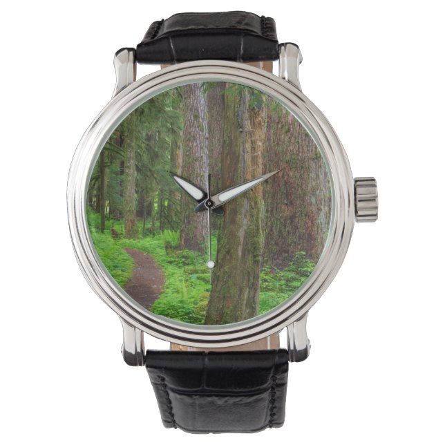 Reloj De Pulsera Escenario de bosque de crecimiento antiguo (Anverso)