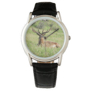 Reloj De Pulsera Estaciones de Nueva Zelanda