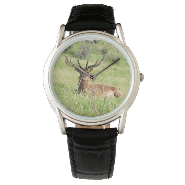 Reloj De Pulsera Estadios de Nueva Zelanda (Anverso)