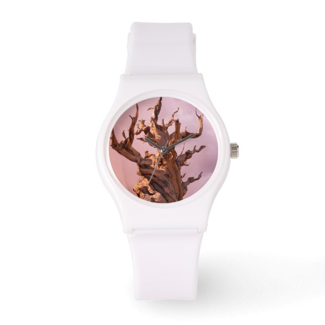 Reloj De Pulsera Estados Unidos, California, Bosque Nacional Inyo 9 (Anverso)