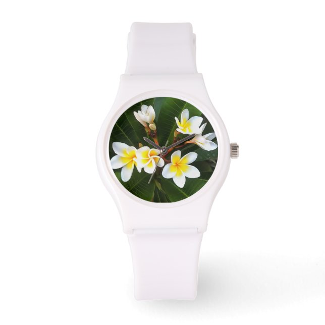 Reloj De Pulsera Estilo artístico de clúster de flor frangipano (Anverso)